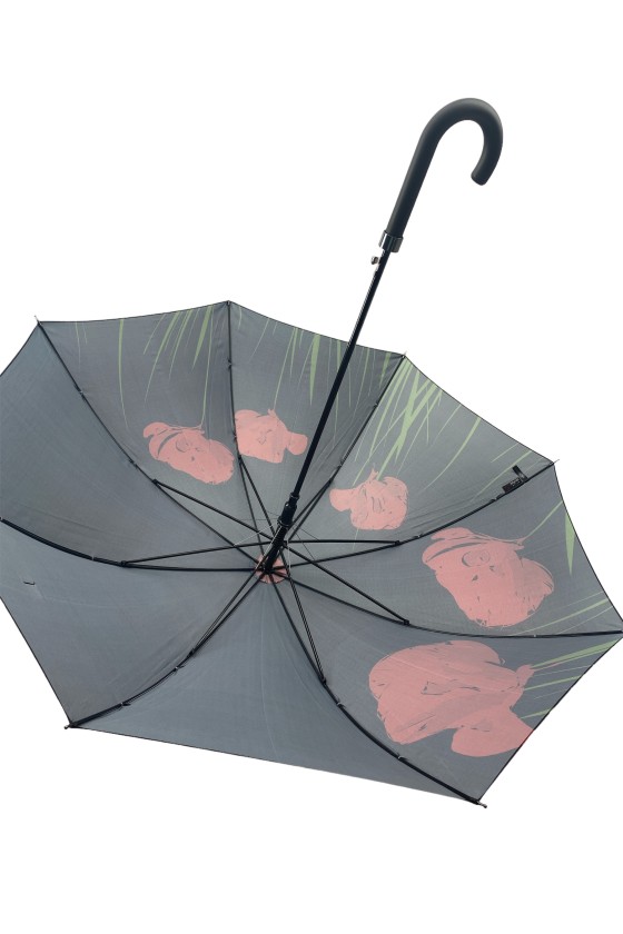 CANNE PARAPLUIE NOIRE